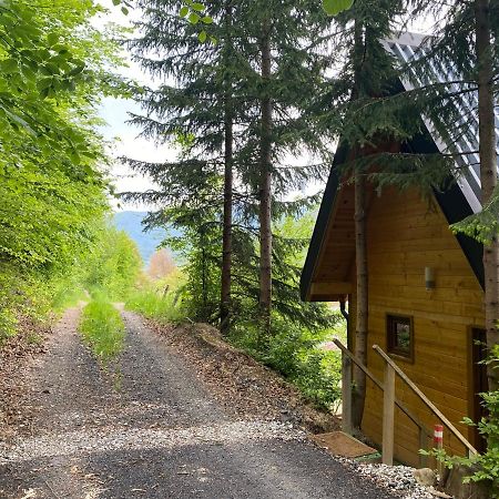 Tree House - Tara Place Mojkovac Exteriér fotografie