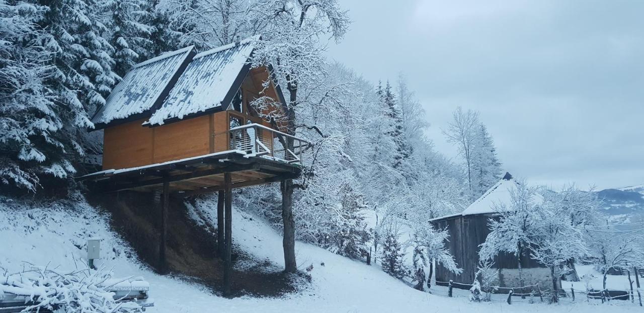 Tree House - Tara Place Mojkovac Exteriér fotografie