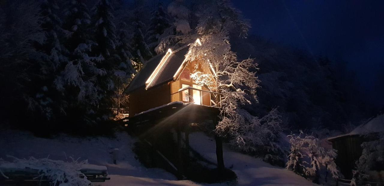 Tree House - Tara Place Mojkovac Exteriér fotografie