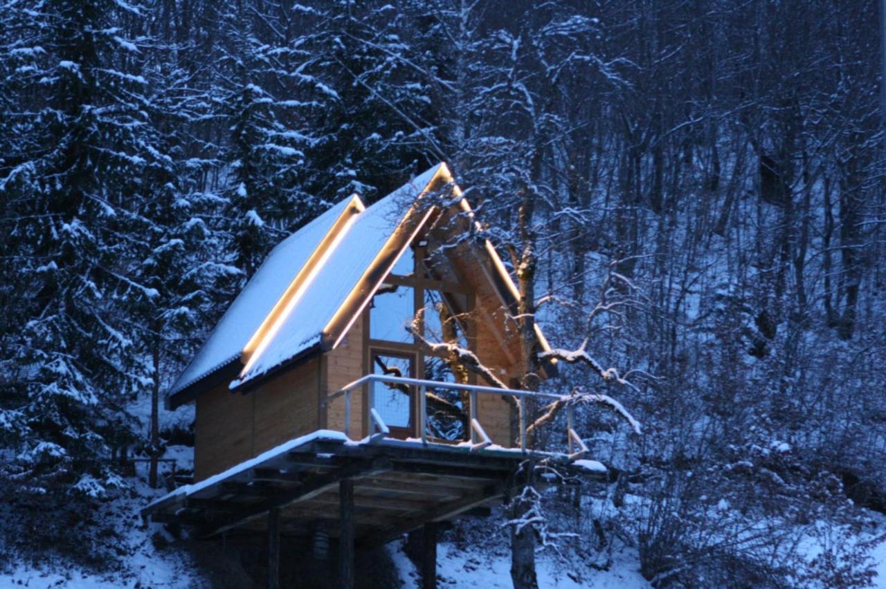 Tree House - Tara Place Mojkovac Exteriér fotografie