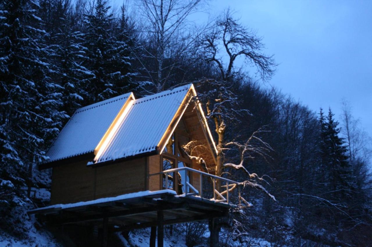 Tree House - Tara Place Mojkovac Exteriér fotografie