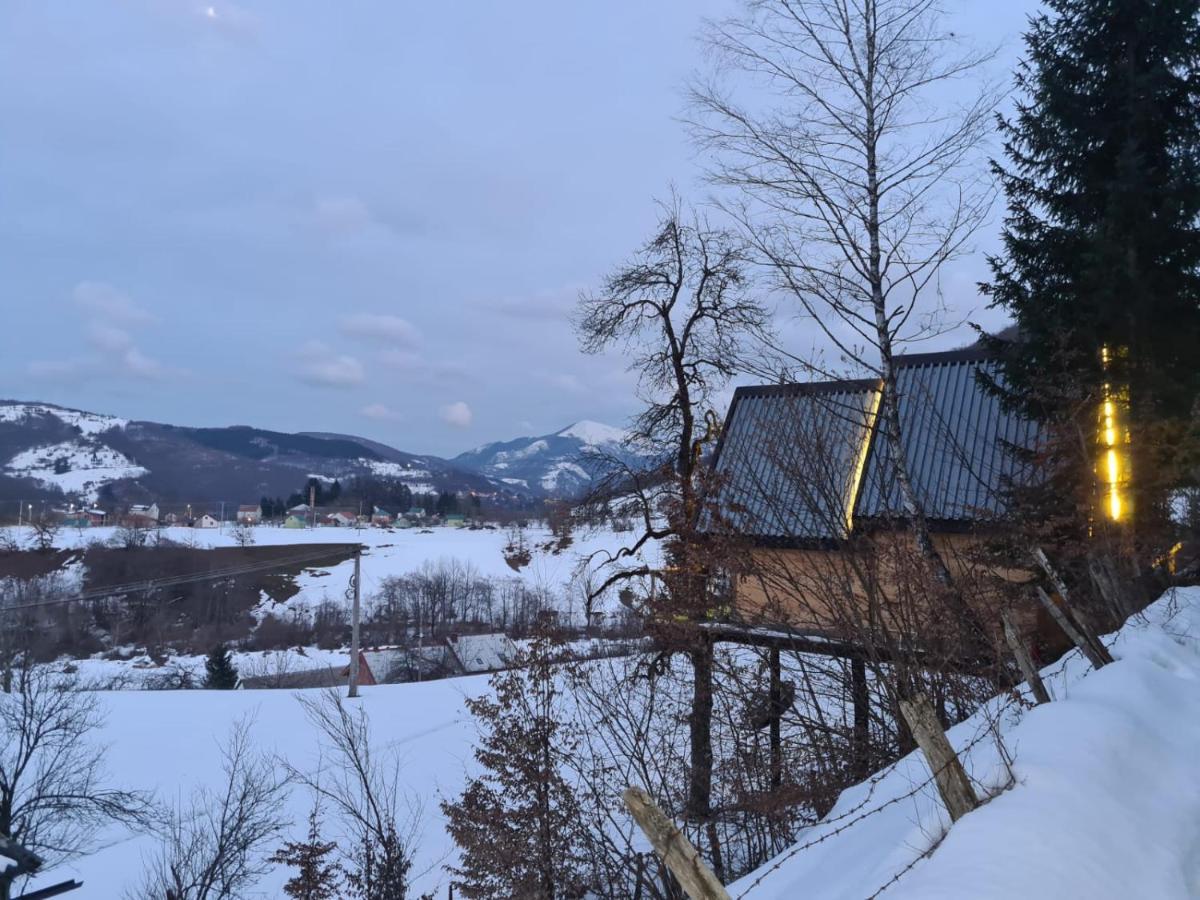 Tree House - Tara Place Mojkovac Exteriér fotografie