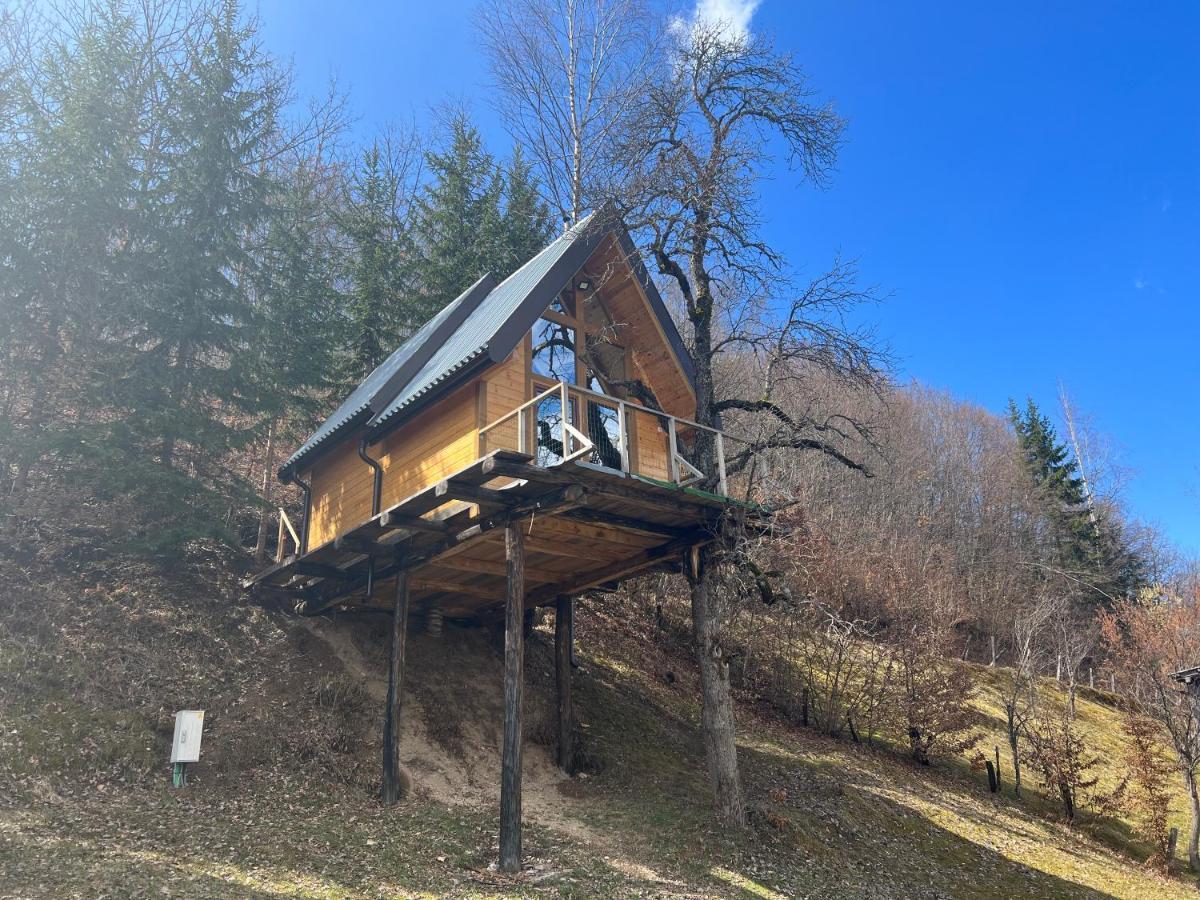 Tree House - Tara Place Mojkovac Exteriér fotografie