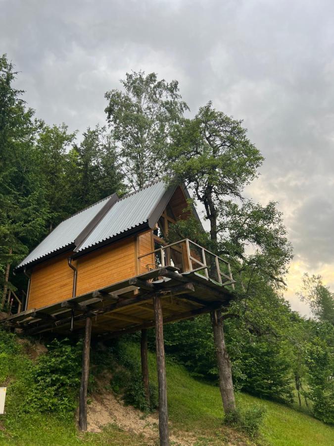 Tree House - Tara Place Mojkovac Exteriér fotografie