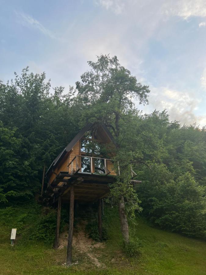 Tree House - Tara Place Mojkovac Exteriér fotografie