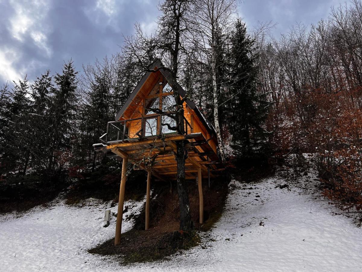 Tree House - Tara Place Mojkovac Exteriér fotografie