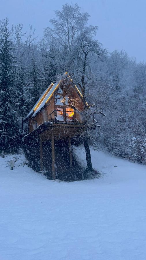 Tree House - Tara Place Mojkovac Exteriér fotografie