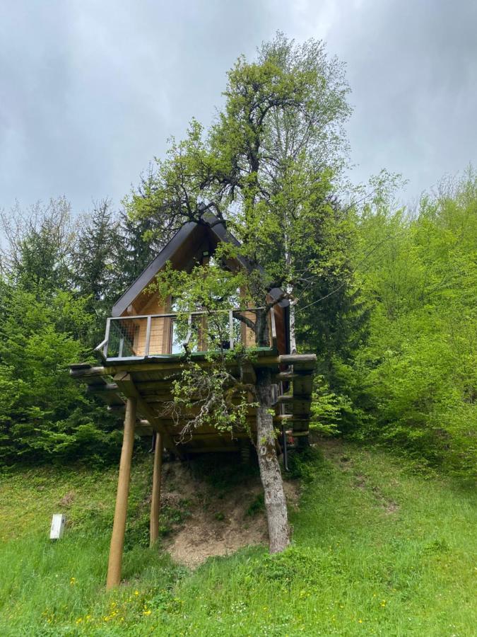 Tree House - Tara Place Mojkovac Exteriér fotografie