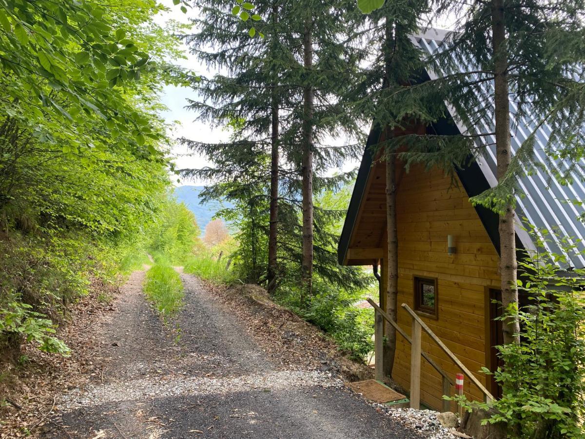 Tree House - Tara Place Mojkovac Exteriér fotografie